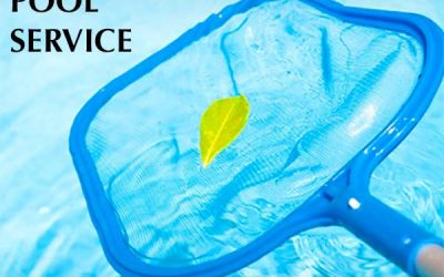 Have You Checked Your Pool Pump Basket Lately?