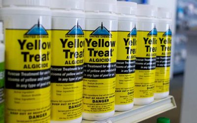 To Treat Mustard Yellow Pool Algae, Follow These Steps: