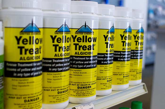 To Treat Mustard Yellow Pool Algae, Follow These Steps: