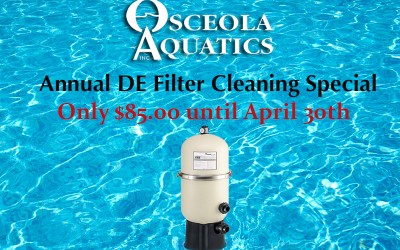 Annual DE Filter Cleaning Special